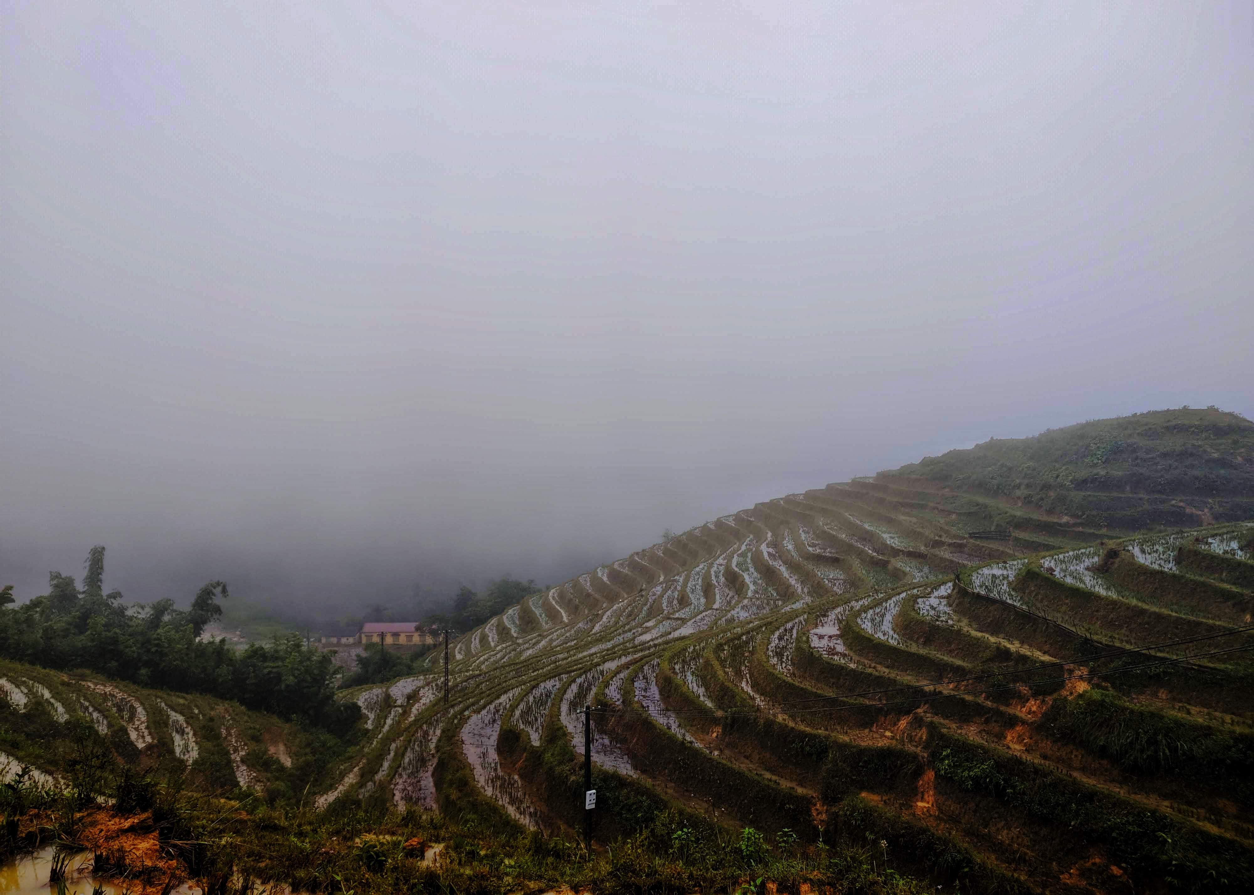 Stepped-hills laced with rice plantations in Northern Vietnam